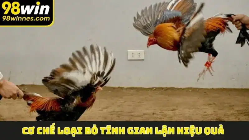 Cơ chế loại bỏ tính gian lận hiệu quả