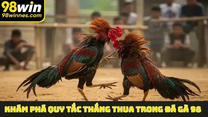 Khám phá quy tắc thắng thua trong Đá Gà 98