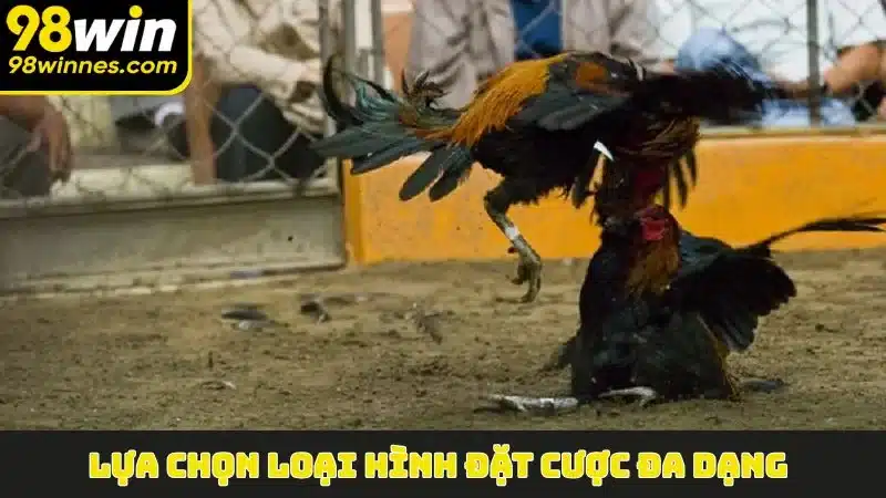 Lựa chọn loại hình đặt cược đa dạng